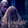 Moonlight Walk
