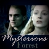 Mysterious Forest