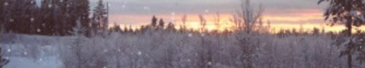 Ithilien in the snow