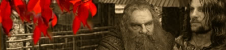 Aragorn and Giml investigate