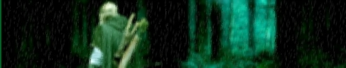 Legolas in the rain