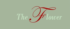 The Flower