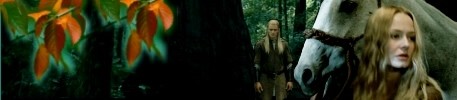 legolas eowyn stories