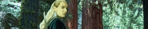 Thranduil is not pleased