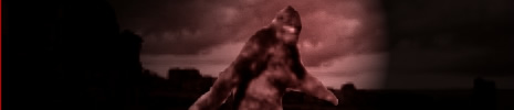 Sorry it's a sasquatch; I couldn't get a photo of the creature!