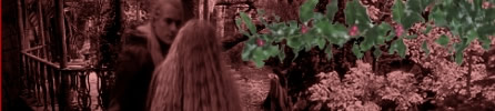 Yuletide at Eryn Carantaur