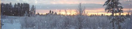 Winter in Ithilien