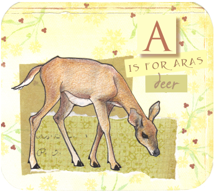 deer
