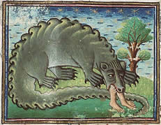 cocodrille