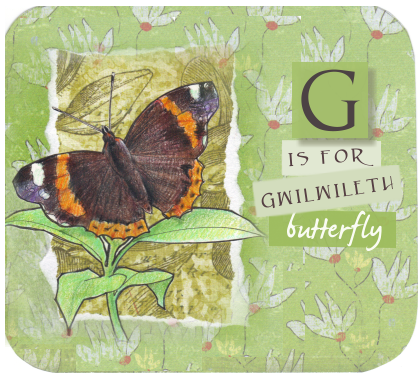 butterfly