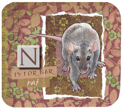 rat
