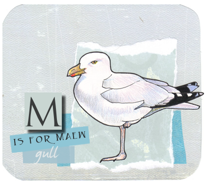 seagull